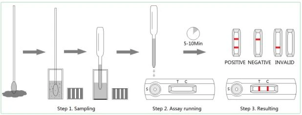 Canine Distemper Virus Antigen Test