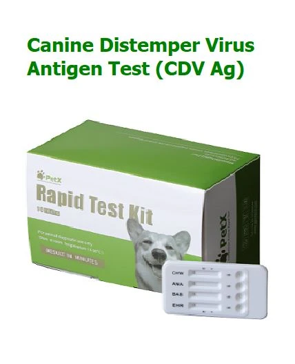 Test dell'antigene del virus del cimurro canino